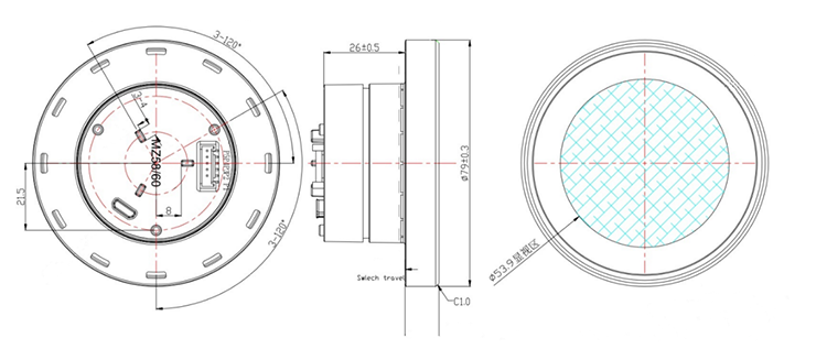 Rotary knob display